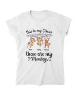 Women's Soft Style Fitted T-Shirt