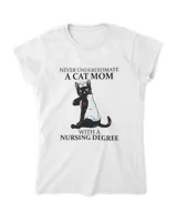 Women's Soft Style Fitted T-Shirt