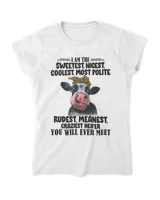 Women's Soft Style Fitted T-Shirt