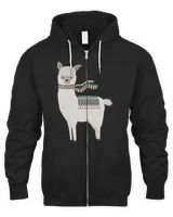 Men's Zip Hoodie