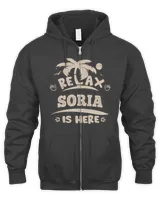 Men's Zip Hoodie Men's Zip Hoodie