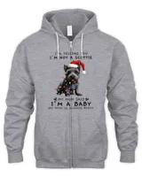 Men's Zip Hoodie