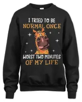Unisex Sweatshirt Unisex Sweatshirt