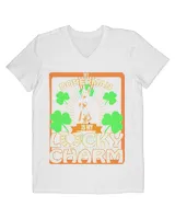 Men's V-Neck T-Shirt Men's V-Neck T-Shirt
