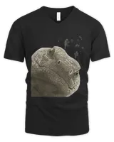 Men's V-Neck T-Shirt Men's V-Neck T-Shirt