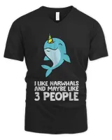 Men's V-Neck T-Shirt