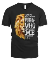 Men's V-Neck T-Shirt