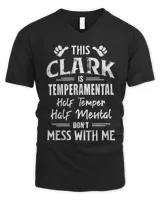 Men's V-Neck T-Shirt Men's V-Neck T-Shirt
