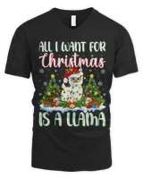 Men&#39;s V-Neck T-Shirt