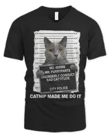 Men's V-Neck T-Shirt