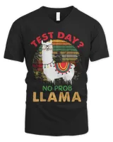 Men's V-Neck T-Shirt Men's V-Neck T-Shirt