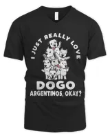 Men's V-Neck T-Shirt