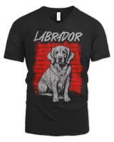 Men's V-Neck T-Shirt Men's V-Neck T-Shirt