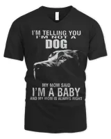 Men's V-Neck T-Shirt Men's V-Neck T-Shirt