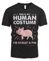 Men's V-Neck T-Shirt