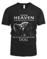 Men's V-Neck T-Shirt Men's V-Neck T-Shirt