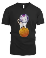 Men's V-Neck T-Shirt Men's V-Neck T-Shirt