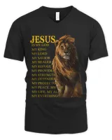 Men's V-Neck T-Shirt