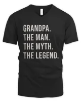 Men's V-Neck T-Shirt