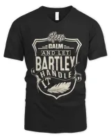 Men's V-Neck T-Shirt Men's V-Neck T-Shirt