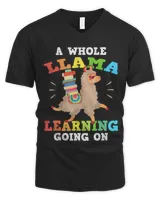 Men's V-Neck T-Shirt Men's V-Neck T-Shirt
