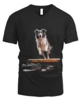 Men's V-Neck T-Shirt