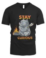 Men's V-Neck T-Shirt
