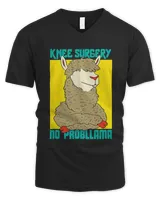 Men's V-Neck T-Shirt Men's V-Neck T-Shirt