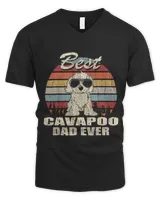 Men's V-Neck T-Shirt Men's V-Neck T-Shirt