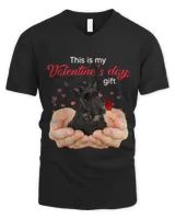 Men's V-Neck T-Shirt Men's V-Neck T-Shirt