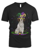 Men's V-Neck T-Shirt Men's V-Neck T-Shirt
