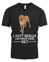 Men's V-Neck T-Shirt