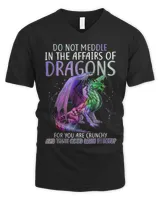 Men's V-Neck T-Shirt Men's V-Neck T-Shirt