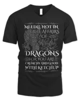 Men's V-Neck T-Shirt Men's V-Neck T-Shirt