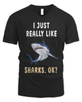 Men's V-Neck T-Shirt