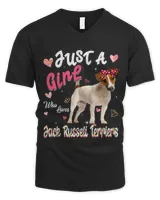 Men's V-Neck T-Shirt Men's V-Neck T-Shirt