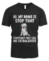 Men's V-Neck T-Shirt Men's V-Neck T-Shirt