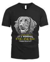 Men's V-Neck T-Shirt Men's V-Neck T-Shirt