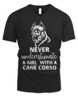 Men's V-Neck T-Shirt Men's V-Neck T-Shirt