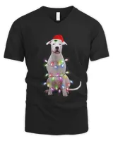 Men's V-Neck T-Shirt Men's V-Neck T-Shirt