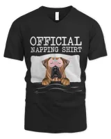 Men's V-Neck T-Shirt Men's V-Neck T-Shirt
