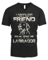 Men's V-Neck T-Shirt