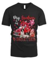 Men's V-Neck T-Shirt Men's V-Neck T-Shirt