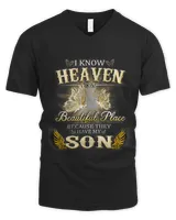 Men's V-Neck T-Shirt Men's V-Neck T-Shirt