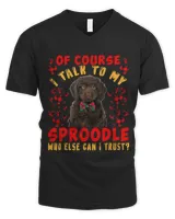 Men's V-Neck T-Shirt Men's V-Neck T-Shirt
