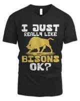 Men's V-Neck T-Shirt