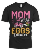 Men's V-Neck T-Shirt Men's V-Neck T-Shirt