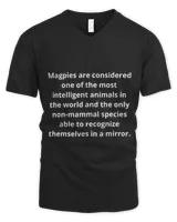 Men's V-Neck T-Shirt Men's V-Neck T-Shirt