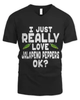Men's V-Neck T-Shirt Men's V-Neck T-Shirt