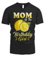 Men's V-Neck T-Shirt Men's V-Neck T-Shirt